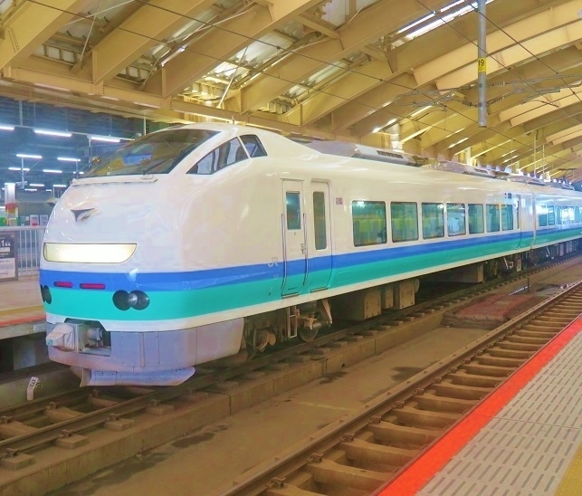 Bトレ E653系いなほ塗装 bトレインショーティー E653系 いなほ しらゆき 11