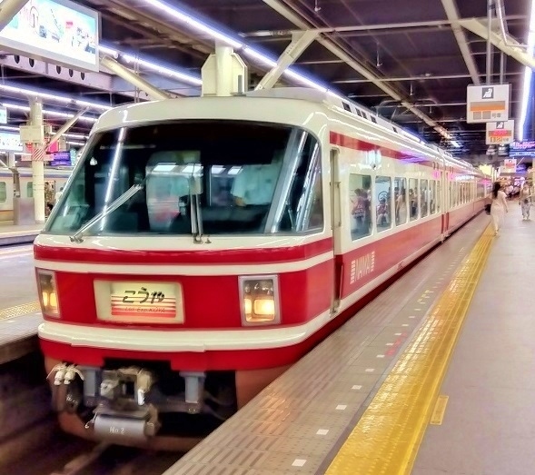 南海30000系特急こうや号に久々の乗車: Express Travel Blog